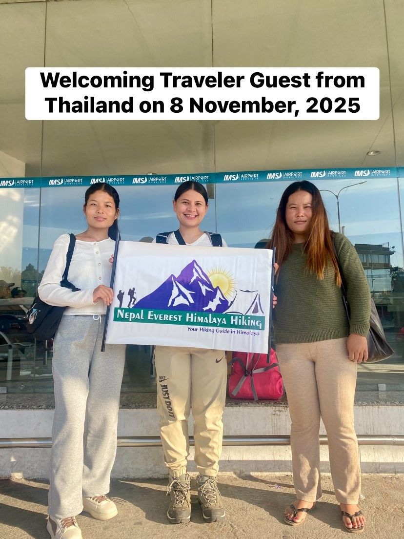 Tourist Arrival in November  2025