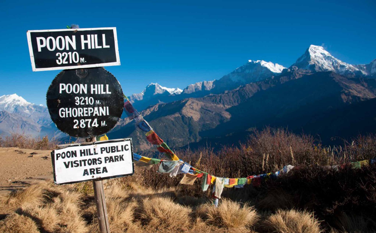 Poonhill 5 Days Trekking